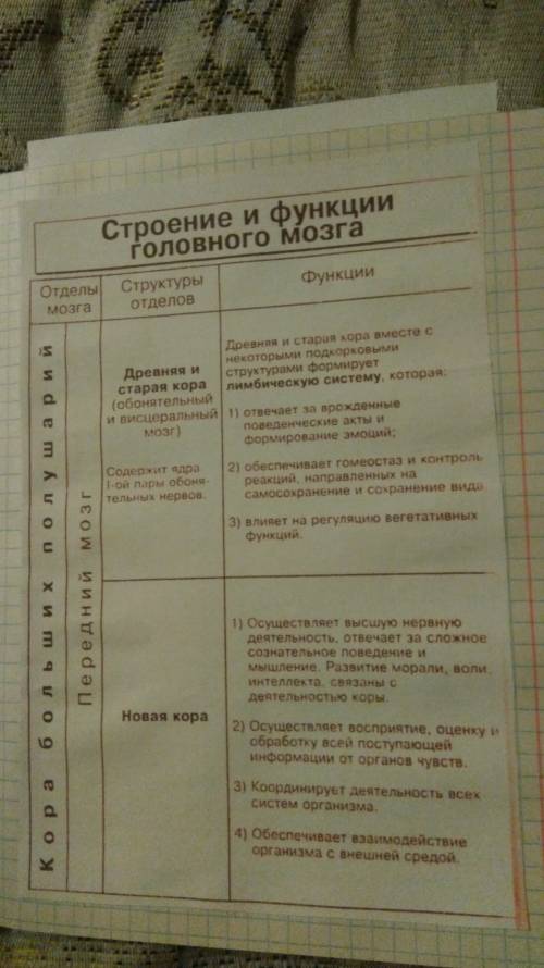 1. объясните в чем заключается взаимосвязь строения и функций разных структур головного мозга. 2. зн