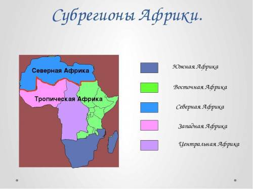 Сравнительная характеристика субрегионов африки. северная африка, тропическая африка, юар . элементы