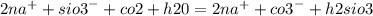 2 {na}^{ + } + {sio3}^{ - } + co2 + h20 = 2 {na}^{ + } + {co3}^{ - } + h2sio3