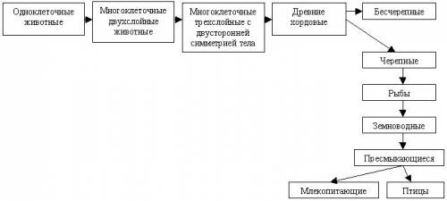 Сделать по биологии схему эволюции животных на земле.