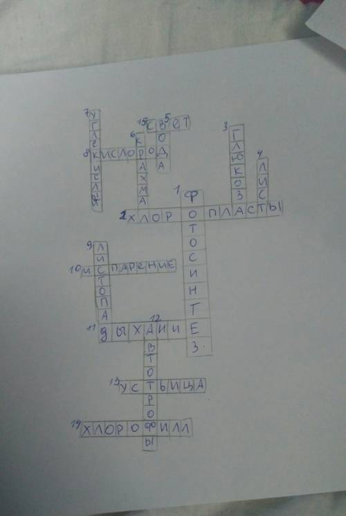 Сделайте кроссворд по теме испарение,дыхание,фотосинтез не менее 15 слов. 10 .