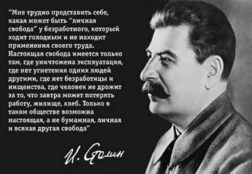 Вы стали свидетелем спора своих одноклассников. один утверждает,что демократический режим - это ниче