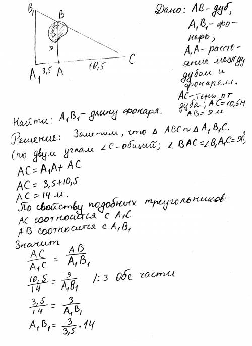 Дуб,высота которого 9 метров,стоит на расстоянии 3,5 метра уличного фонаря.при этом длина тени дуба