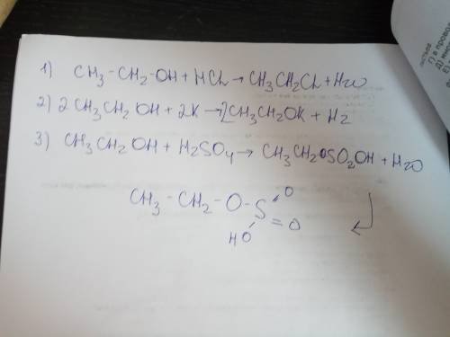 Счем будет реагировать этанол? koh, hcl, k, h2o, h2so4. напишите уравнения реакций ,