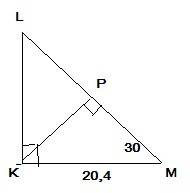 Втреугольнике klm известно что км= 20,4 дм. lm=30 градусов, lk=90 градусов. найдите растояние от точ