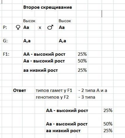 Угороха высокий рост доминирует над низким.гомозиготное растение высокого роста опылили пыльцой горо