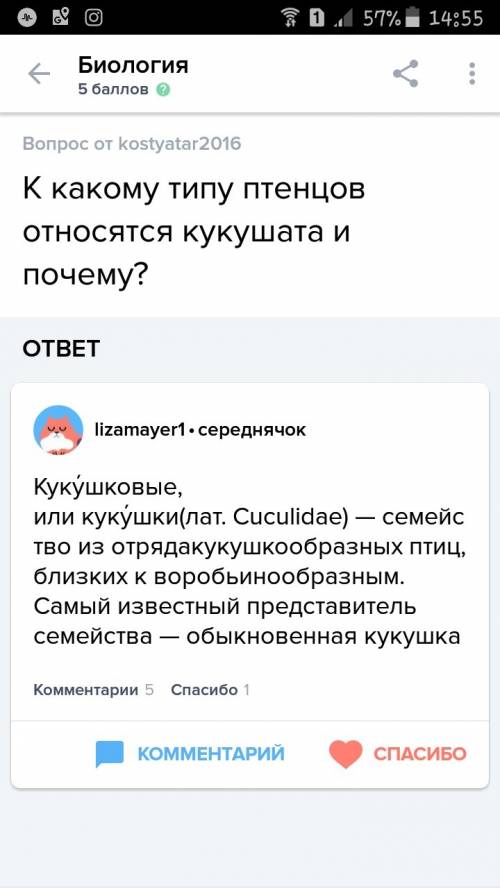 Ккакому типу птенцов относятся кукушата и почему?