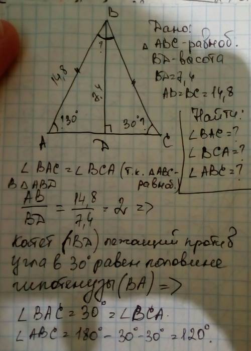 Вравнобедренном треугольнике abc проведена высота bd к основанию ac. длина высоты — 13,4 см, длина б