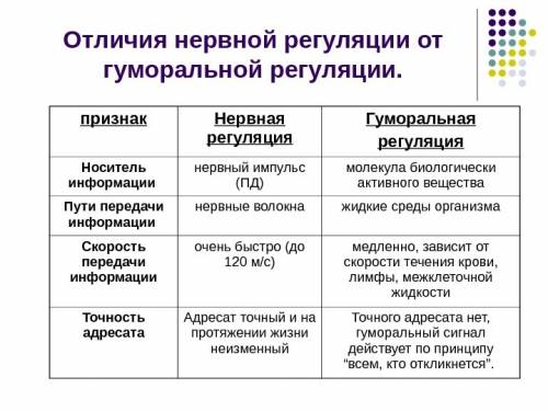 Сравнить нервную регуляцию и гумаральную . нужно