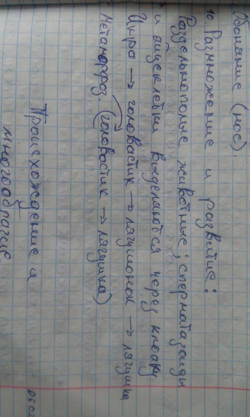 Зарисуйте схематично с подписями жизненный цикл лягушки.