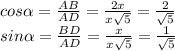 cos\alpha =\frac{AB}{AD} = \frac{2x}{x\sqrt{5} } =\frac{2}{\sqrt{5} } \\sin\alpha =\frac{BD}{AD} = \frac{x}{x\sqrt{5} } =\frac{1}{\sqrt{5} } \\