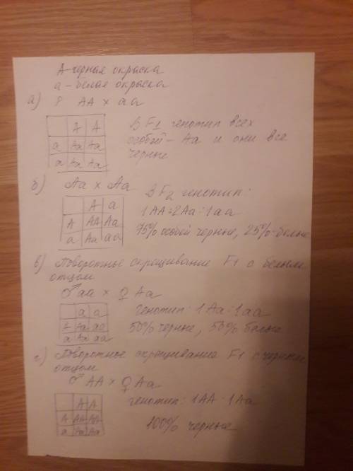 Уквасолі чорне забарвлення насіннєвої шкірки домінує над білим. рослину, гомозиготну за чорним забар