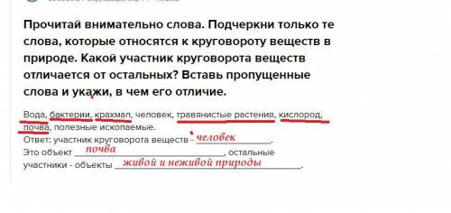 Прочитай внимательно слова. подчеркни только те слова, которые относятся к круговороту веществ в при