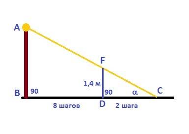 Турник высотой 1,4 м стоит на расстоянии 8 шагов от фонарного столба тень турника равна 2 шагам на к