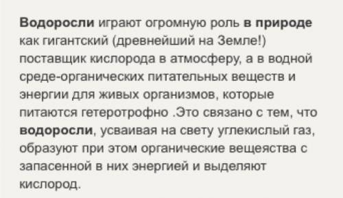 Какое значение имеет водоросли в природе