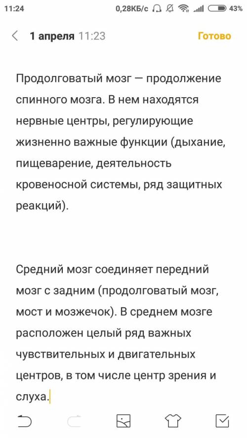 Опишите функции всех отделов головного мозга. какова роль мозжечка в осуществлении движений?