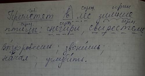 Прилетят в лес зимние птицы: снегири, свиристели. синтаксический разбор поставьте знак ударения в сл