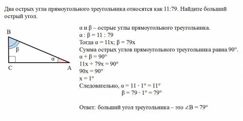 Два острых угла прямоугольного треугольника относятся как 11: 79 . найдите большой острый угол. отве