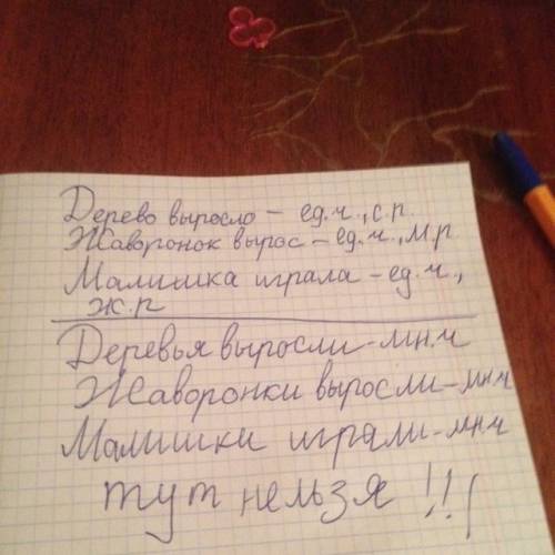 Сравните глаголы в предложениях первого и второго столбиков. какие из этих глаголов называют действи