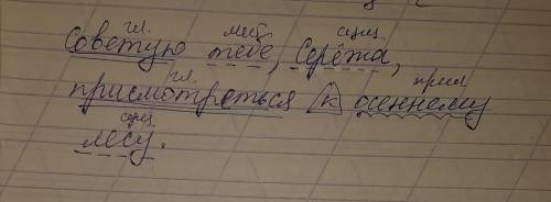 Синтаксический разбор предложения. советую тебе, серёжа, присмотреться к осеннему лесу.