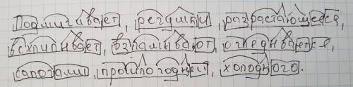 Сделать морфемный разбор слов: подмигивает, речушки, разрастающееся, всхлипывает, взламываются, огля