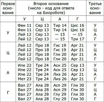 Триплету атт в молекуле днк соответствует антикодон и-рнк: а)ацг б)уга в)ауу г)уаа