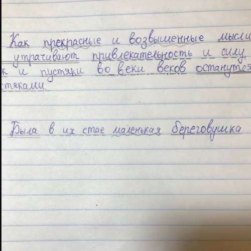 Сделать синтаксический разбор предложения была в их стае маленькая береговушка.