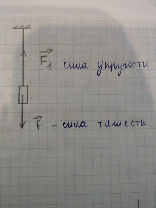 Изобразите графически силу пружины действующую на груз.