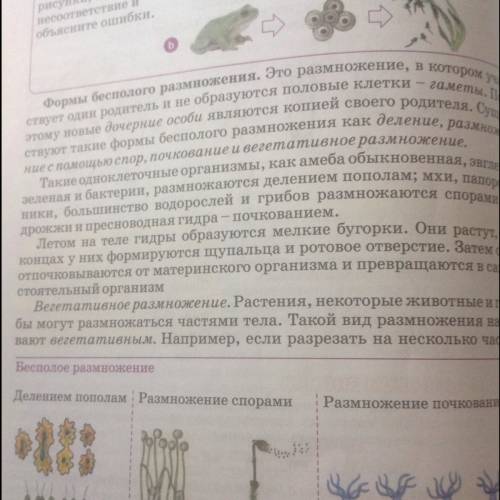 1. формы размножения организмов. характеристика полового и бесполого размножения. 2. организмы-параз