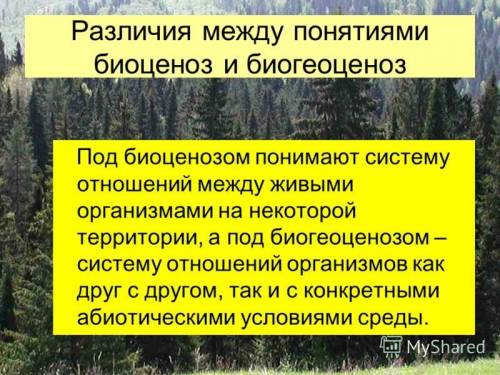 1) в чем различие понятий биогеоценоз и биоценоз? 2) обязательные компоненты биогеоценоза? 3) что та