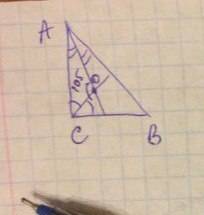 Впрямоугольном треугольнике авс ( с = 90 градусов) биссектрисы сdиae пересекаются в точке о. величин