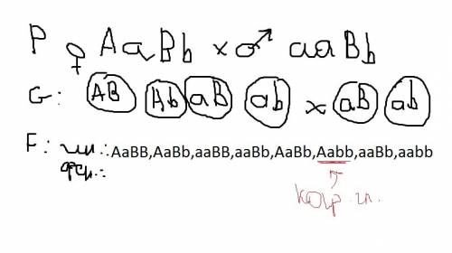 Всемье, где родители хорошо слышали, и один из них имел светлые глаза, а другой карие, родился один