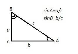 Синусом острого угла прямоугольного треугольника называют