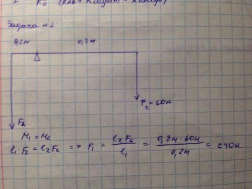 Плечи рычага равны 0,2 и 0,8 м.какой груз принимает рычаг,если к большему плечу приложена сила равна