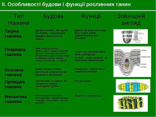 Вкажіть у чому подібність та відмінність різних тканин рослин