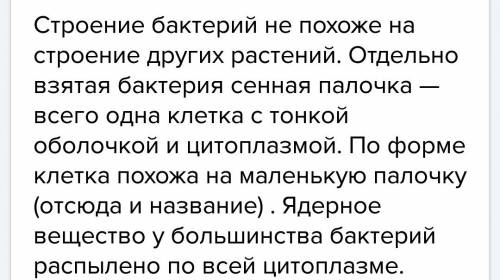 Сделайте выводы о признаках бактерий на примере сенной палочки: