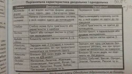 Особливості стебла,тип листків,будова квітки,будова насінини однодольні та дводольні