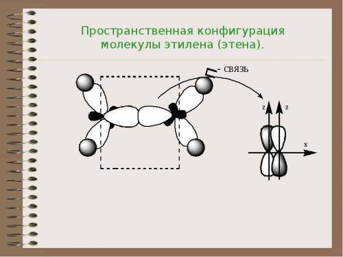 Заполните таблицу. зарисуйте молекулы органических веществ. название молекулы структурная формула ти