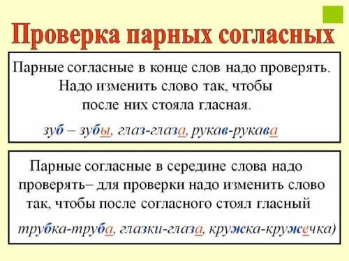 Как проверить написание парных согласных в середине слова и на конце?