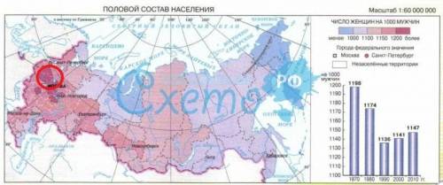 1.обозначьте 4 субъекта российской федерации выделяющихся наиболее высокими показателями половой дис