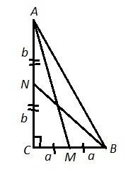 Впрямоугольном треугольнике abc с прямым углом c проведены медианы am и bn. найдите ab, если am=19,