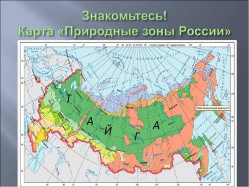 Протяженность тайги в россии по направлениям в градусах и километрах