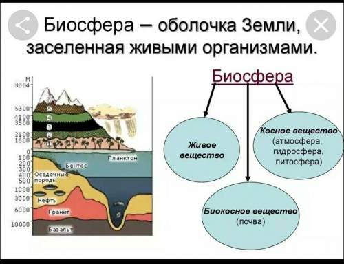 Нарисуйте ответ на вопрос: зачем нужна биосфера? (можно скинуть 3 скриншота с интернета)