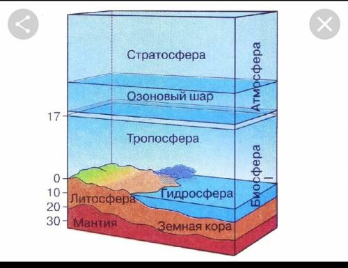 Нарисуйте ответ на вопрос: зачем нужна биосфера? (можно скинуть 3 скриншота с интернета)