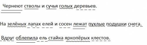 Чернеют стволы и сучья голых деревьев. на зелёных лапах елей и сосен лежат пухлые подушки снега. вдр