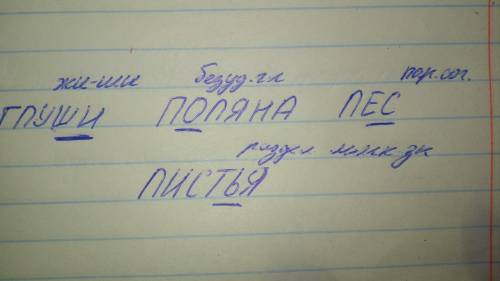 Подчеркнуть в словах ''опасные места''(орфограммы) в глуши,поляна,лес,листья.