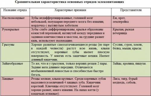 Таблица по биологии класс млекопитающие название отряда характеристика примеры