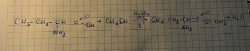 Напишите уравнение реакции между: альфа- аминомасляной кислотой и ch3oh