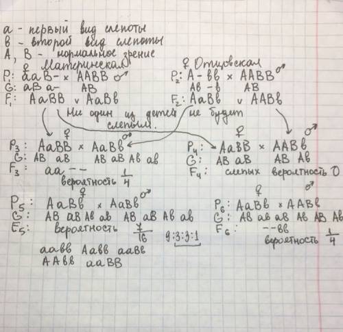 Существует два вида наследственной слепоты, каждый из которых определяется своим рецессивным геном (