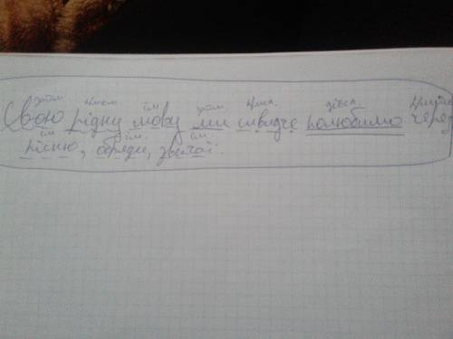 Підкреслити члени речення надписати частини мови в реченні свою рідну мову ми швидче полюбимо через